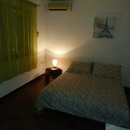 Summer Night Dream