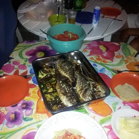 Summer Night Dream * Zara