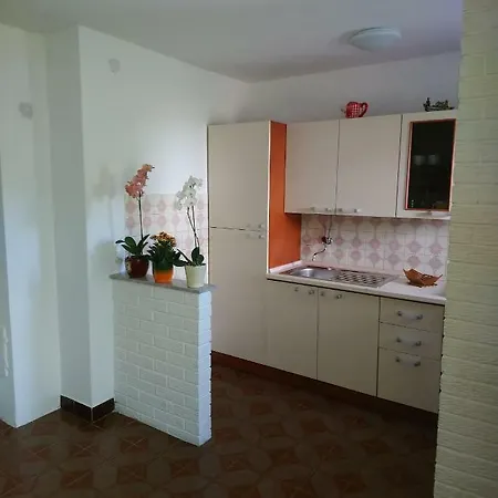 Summer Night Dream * Zara