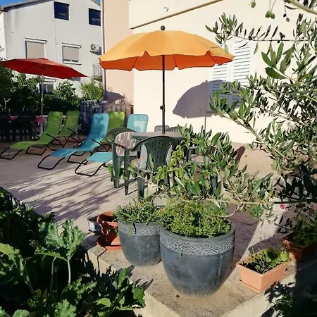 Summer Night Dream * Zara