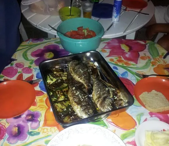 Summer Night Dream * زادار