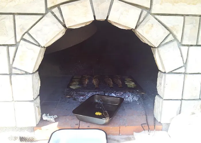 Summer Night Dream *