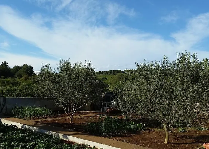 شقة Summer Night Dream زادار