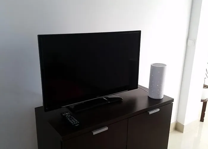 Summer Night Dream *