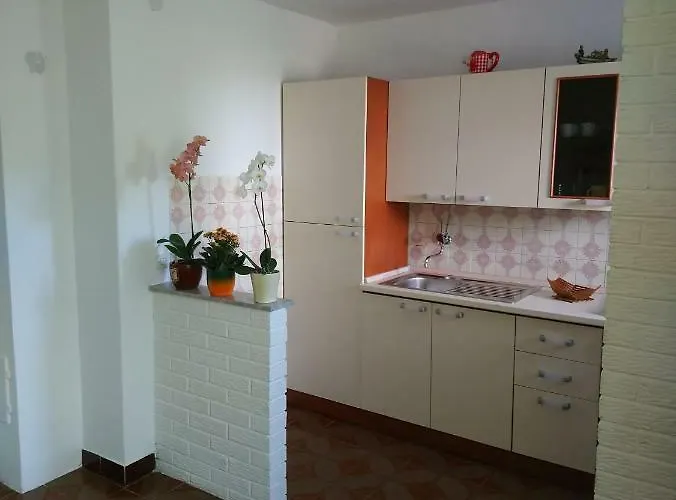 Summer Night Dream * زادار