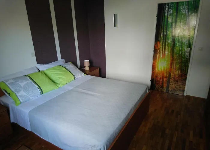 Summer Night Dream * زادار