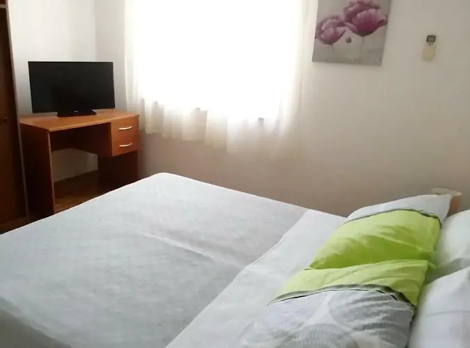 Summer Night Dream زادار