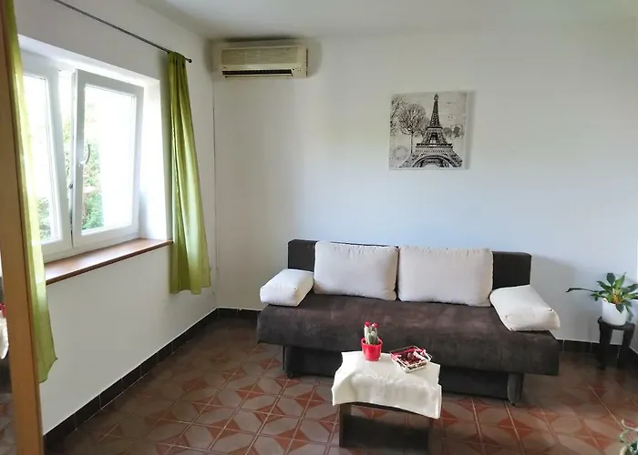 Summer Night Dream *