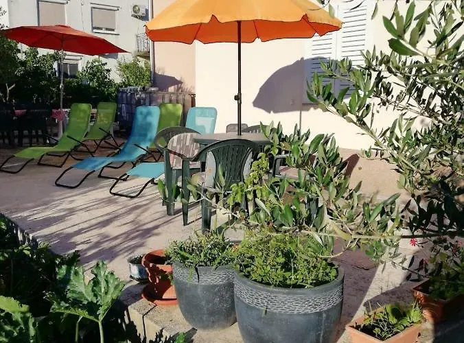 Summer Night Dream * زادار